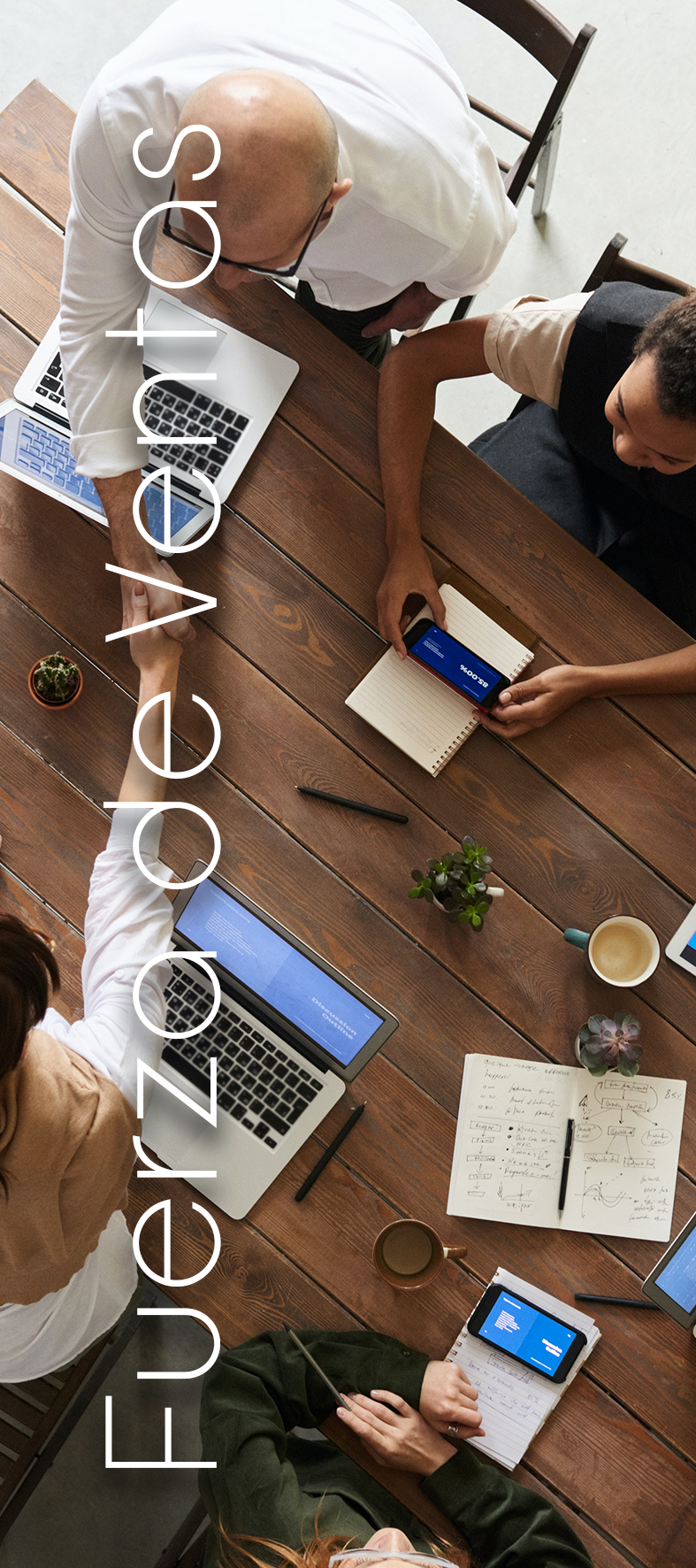 Sistema Educativo para el Emprendimiento: Táctica